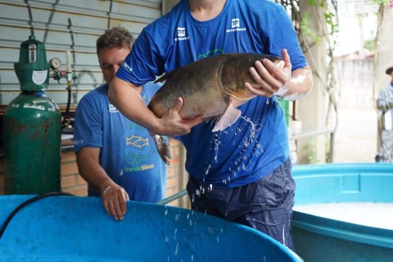 Feira do Peixe Vivo promove a venda de 2,5 mil quilos de peixes 1 Feira do Peixe Vivo promove a venda de 2,5 mil quilos de peixes