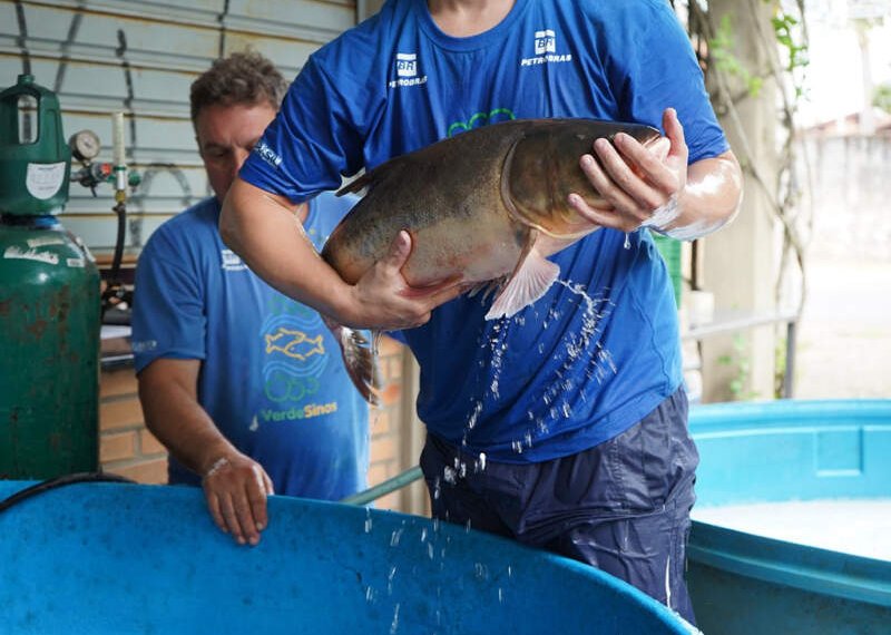 Feira do Peixe Vivo acontece nesta quinta e sexta-feira 1 Feira do Peixe Vivo acontece nesta quinta e sexta-feira