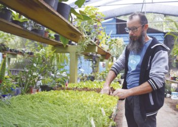 Projeto Floração faz a compostagem de uma tonelada de lixo orgânico por semana 9 Projeto Floração faz a compostagem de uma tonelada de lixo orgânico por semana