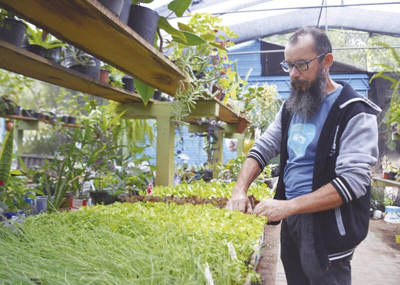 Projeto Floração faz a compostagem de uma tonelada de lixo orgânico por semana