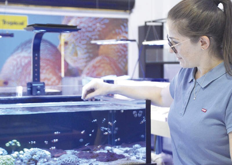 O mar dentro de casa: conheça os aquários marinhos