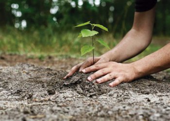 Conheça alguns dos programas atendidos pela Secretaria do Meio Ambiente 3 Conheça alguns dos programas atendidos pela Secretaria do Meio Ambiente