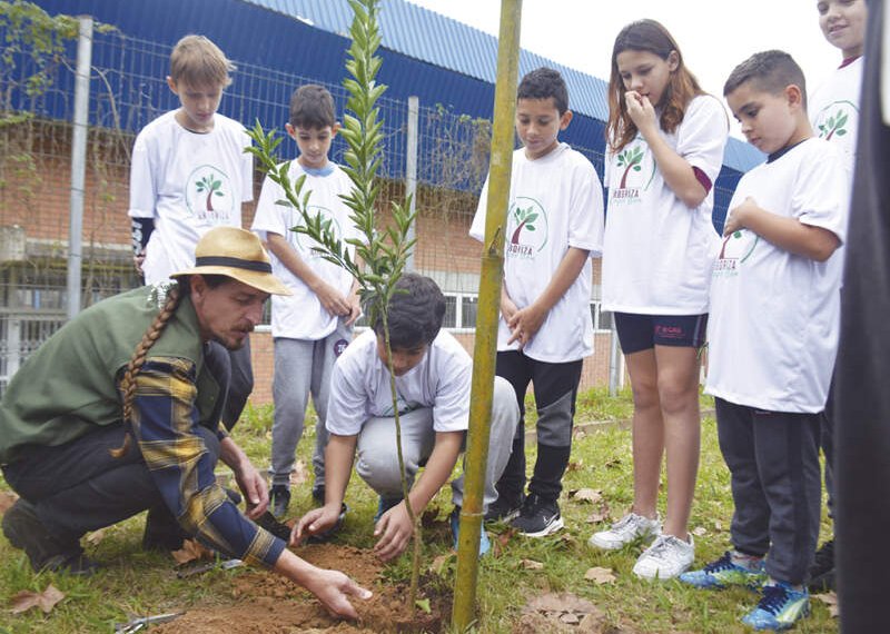 Uma cidade frutífera: programa Pomares Urbanos é iniciado