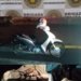 Motocicleta é recuperada no bairro Aurora 5 Motocicleta é recuperada no bairro Aurora