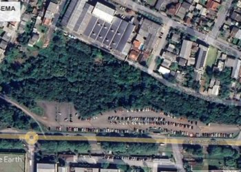 Área de mata ciliar é totalmente recuperada em quatro anos no bairro Rio Branco