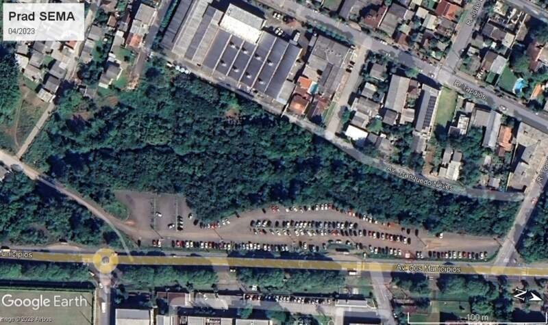 Área de mata ciliar é totalmente recuperada em quatro anos no bairro Rio Branco