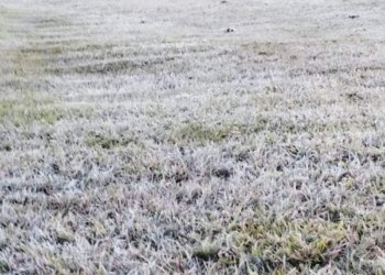 Onda de frio marca mês de agosto com número recorde de geadas