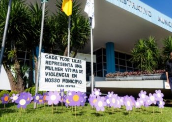 Prefeitura planta 83 flores lilases para conscientizar sobre a violência contra a mulher