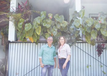 Lar Colmeia: três décadas transformando vidas