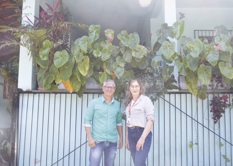 Lar Colmeia: três décadas transformando vidas 1 Lar Colmeia: três décadas transformando vidas