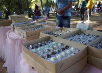 Prefeitura credencia ambulantes para o Natal da Integração