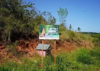 Campanha Dezembro Verde conscientiza para o não abandono de animais