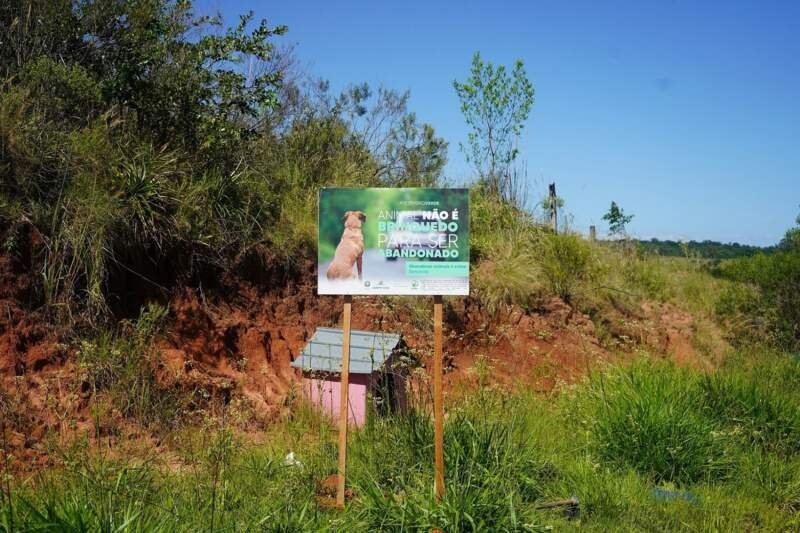 Campanha Dezembro Verde conscientiza para o não abandono de animais 1 Campanha Dezembro Verde conscientiza para o não abandono de animais