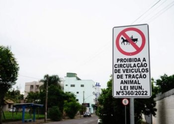 Está proibida a circulação de veículos de tração animal no centro de Campo Bom