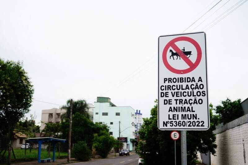 Está proibida a circulação de veículos de tração animal no centro de Campo Bom 1 Está proibida a circulação de veículos de tração animal no centro de Campo Bom
