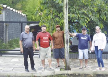 Moradores do Imigrante Norte pedem solução para postes de energia que estão prestes a cair