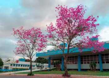 Prefeitura de Campo Bom atende em dois turnos nos dias 23/01, 25/01, 6/02 e 8/02