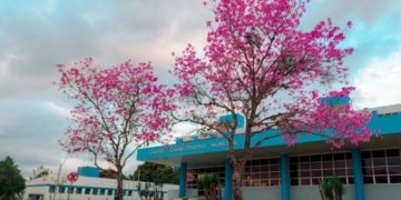 Prefeitura de Campo Bom atende em dois turnos nos dias 23/01, 25/01, 6/02 e 8/02