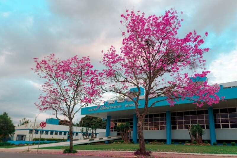 Vagas de estágio em Psicologia, Enfermagem, Odontologia e mais 1 Prefeitura de Campo Bom atende em dois turnos nos dias 23/01, 25/01, 6/02 e 8/02