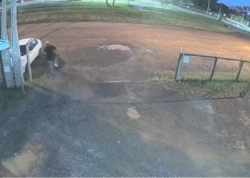 Guarda Municipal prende homem em flagrante após furto de bicicleta