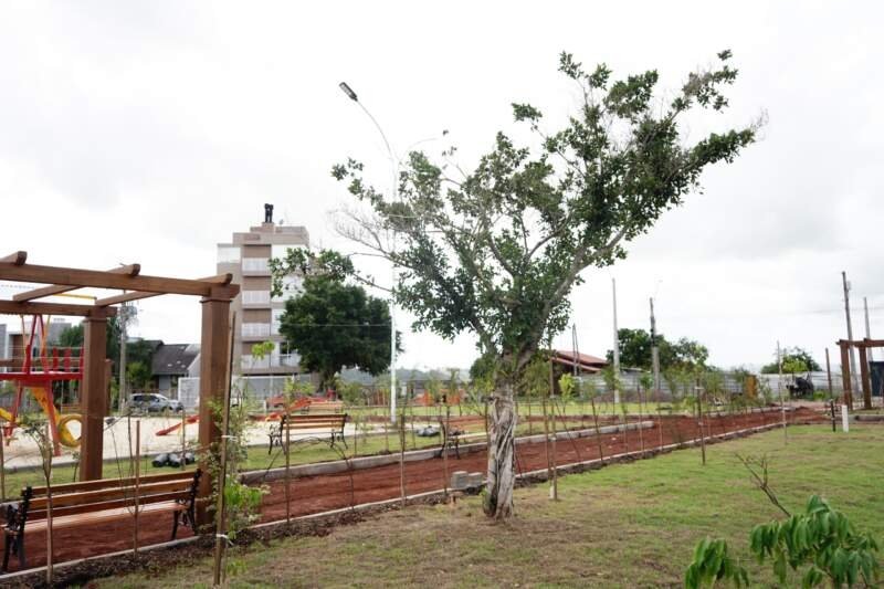 Primeiro Pomar Urbano de Campo Bom será inaugurado nesta quinta-feira 1 Primeiro Pomar Urbano de Campo Bom será inaugurado nesta quinta-feira