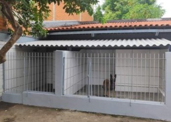 Polícia Civil com apoio do Consepro realiza reforma do canil da Delegacia 8 Polícia Civil com apoio do Consepro realiza reforma do canil da Delegacia