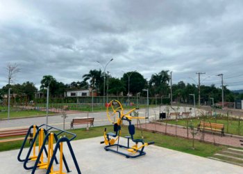 Pomar Urbano: Cultivando comunidades e biodiversidade