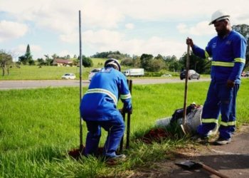 Instalação da iluminação na ERS-239 em Campo Bom começou nesta terça