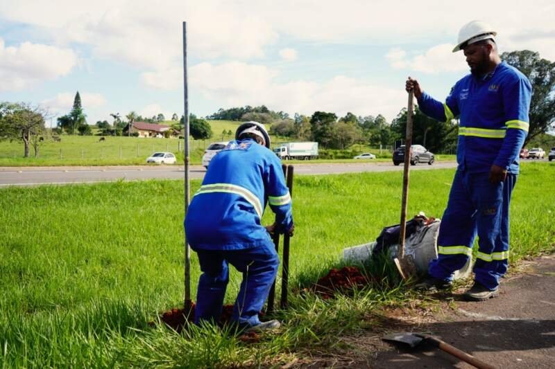 Instalação da iluminação na ERS-239 em Campo Bom começou nesta terça 1 Instalação da iluminação na ERS-239 em Campo Bom começou nesta terça