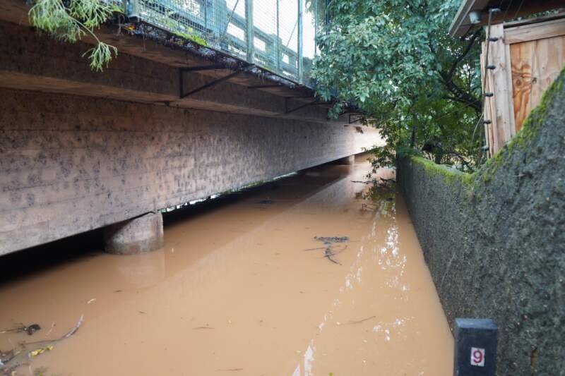 Nível do Rio dos Sinos começa a baixar em Campo Bom