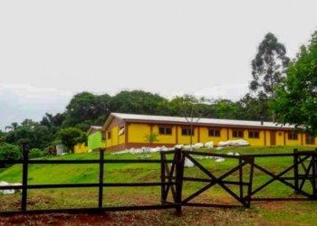 Uma jornada de superação e esperança