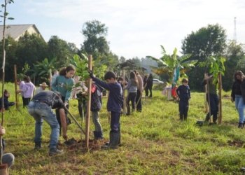 Na Semana do Meio Ambiente, Campo Bom implanta mais um Pomar Urbano