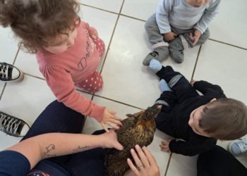 Campo Bom está entre os melhores no Prêmio Meu Pátio é o Mundo