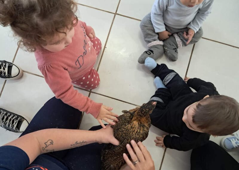 Campo Bom está entre os melhores no Prêmio Meu Pátio é o Mundo 1 Campo Bom está entre os melhores no Prêmio Meu Pátio é o Mundo