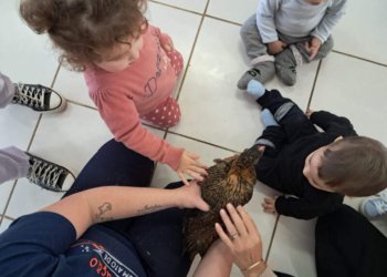 Campo Bom está entre os melhores no Prêmio Meu Pátio é o Mundo