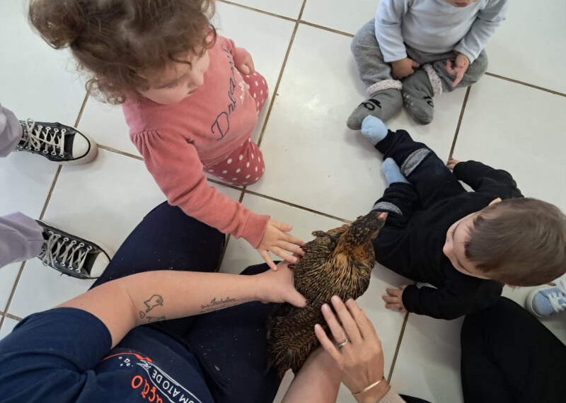 Campo Bom está entre os melhores no Prêmio Meu Pátio é o Mundo 1 Campo Bom está entre os melhores no Prêmio Meu Pátio é o Mundo