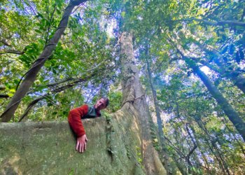 Dedicação à vida e à preservação do meio ambiente 5 Dedicação à vida e à preservação do meio ambiente