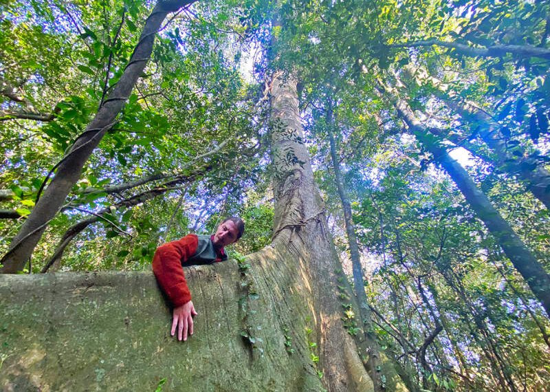 Dedicação à vida e à preservação do meio ambiente