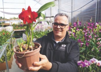 Empresário campo-bonense se destaca como um dos maiores exportadores de Orquídeas 9 Empresário campo-bonense se destaca como um dos maiores exportadores de Orquídeas