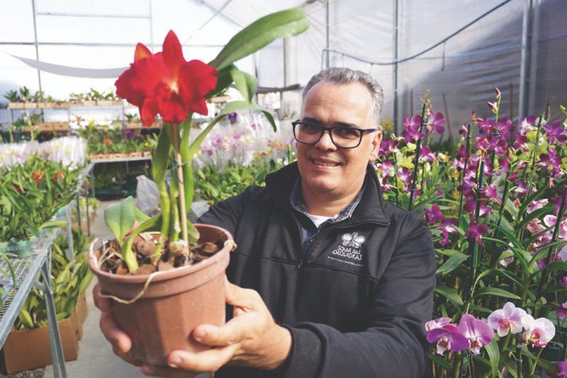 Empresário campo-bonense se destaca como um dos maiores exportadores de Orquídeas