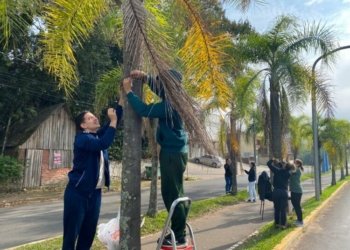 Ação do "Orquídea Amor e Valor" será dia 03 de setembro 7 Ação do “Orquídea Amor e Valor” será dia 03 de setembro