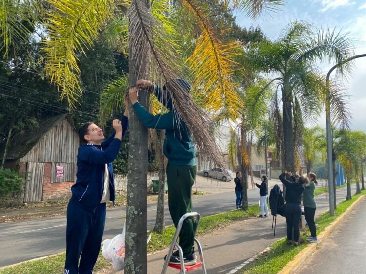Ação do "Orquídea Amor e Valor" será dia 03 de setembro 1 Ação do “Orquídea Amor e Valor” será dia 03 de setembro
