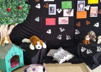 Semana de Proteção e Bem-estar Animal de Campo Bom começa na segunda