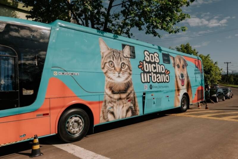 Campo Bom pra cachorro realizou 150 castrações 1 Campo Bom pra cachorro realizou 150 castrações