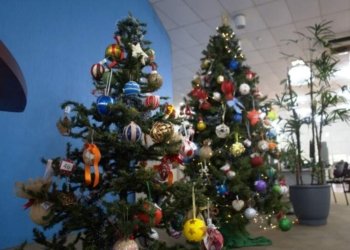 Prefeitura realiza mais uma edição da Árvore Solidária