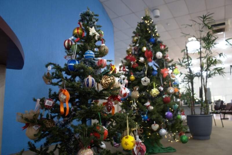 Prefeitura realiza mais uma edição da Árvore Solidária 1 Prefeitura realiza mais uma edição da Árvore Solidária