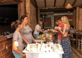 ONG Campo Bom pra Cachorro promove cachorro-quente solidário 6 ONG Campo Bom pra Cachorro promove cachorro-quente solidário