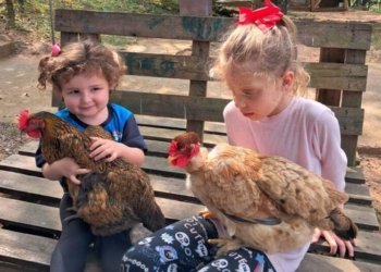 Campo Bom entre os dez melhores no Prêmio Meu Pátio é o Mundo