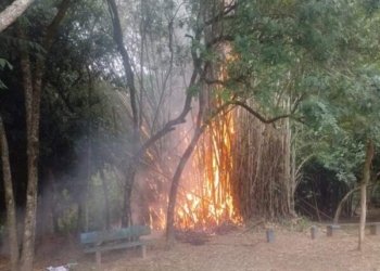 Fogo próximo ao CEI é controlado pelos Bombeiros 7 Fogo próximo ao CEI é controlado pelos Bombeiros