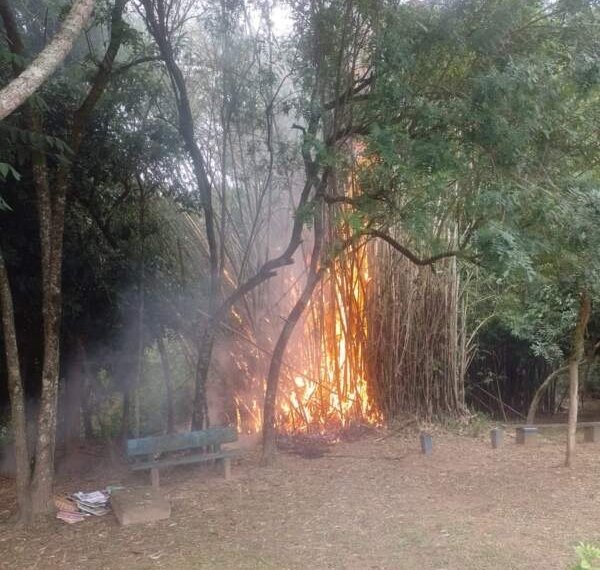Fogo próximo ao CEI é controlado pelos Bombeiros 1 Fogo próximo ao CEI é controlado pelos Bombeiros